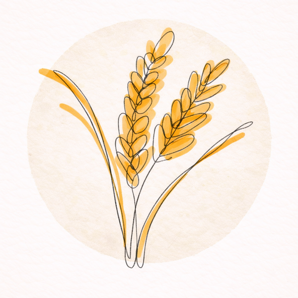 Niacinamide (Vitamin B3)